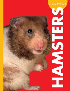 Curious About Hamsters - MPHOnline.com