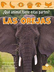 Las orejas / Ears - MPHOnline.com