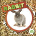 Life Cycle of a Rabbit - MPHOnline.com