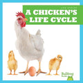 A Chicken's Life Cycle - MPHOnline.com