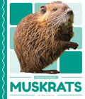 Muskrats - MPHOnline.com