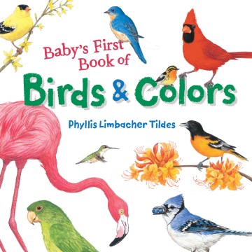 Baby's First Book of Birds & Colors - MPHOnline.com