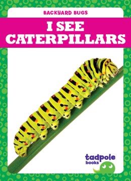 I See Caterpillars - MPHOnline.com