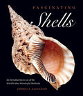 Fascinating Shells - MPHOnline.com