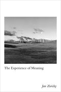 The Experience of Meaning - MPHOnline.com