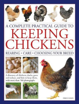 A Complete Practical Guide to Keeping Chickens - MPHOnline.com