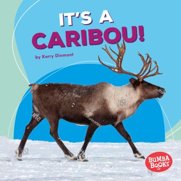 It's a Caribou! - MPHOnline.com