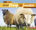 From Sheep to Sweater - MPHOnline.com