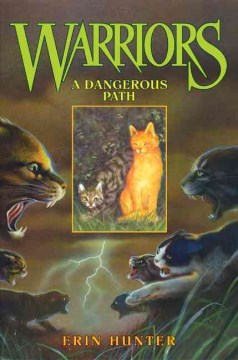 A Dangerous Path - MPHOnline.com