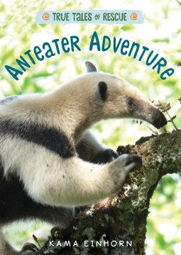 Anteater Adventure - MPHOnline.com