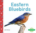 Eastern Bluebirds - MPHOnline.com