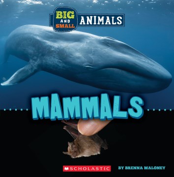 Big and Small Mammals - MPHOnline.com