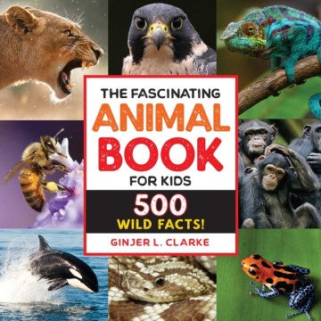 The Fascinating Animal Book for Kids - MPHOnline.com