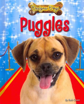 Puggles - MPHOnline.com