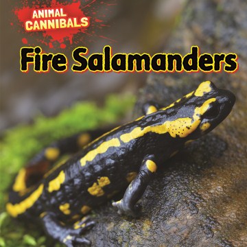 Fire Salamanders - MPHOnline.com