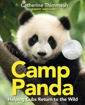 Camp Panda - MPHOnline.com