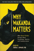 Why Wakanda Matters - MPHOnline.com