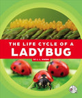 The Life Cycle of a Ladybug - MPHOnline.com