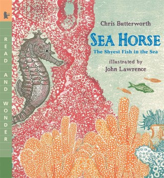 Sea Horse - MPHOnline.com