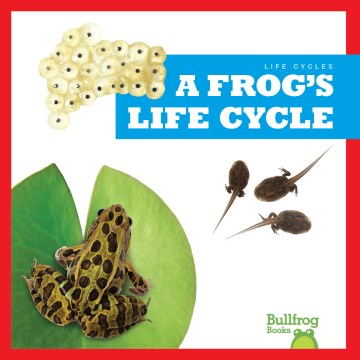 A Frog's Life Cycle - MPHOnline.com