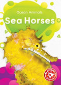 Sea Horses - MPHOnline.com