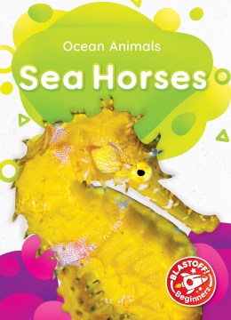 Sea Horses - MPHOnline.com