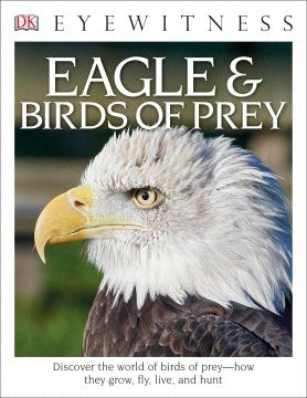 Eagles & Birds of Prey - MPHOnline.com