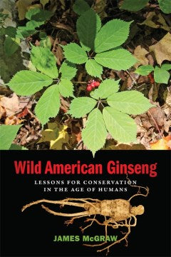 Wild American Ginseng - MPHOnline.com