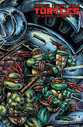 Teenage Mutant Ninja Turtles The Ultimate Collection 7 - MPHOnline.com