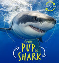 From Pup to Shark - MPHOnline.com