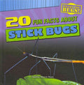 20 Fun Facts About Stick Bugs - MPHOnline.com