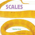 Scales - MPHOnline.com