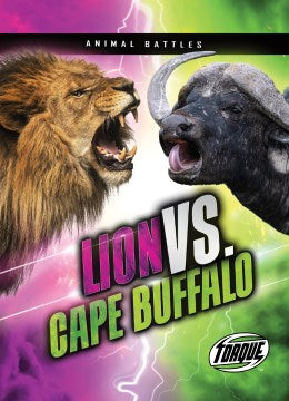 Lion Vs. Cape Buffalo - MPHOnline.com