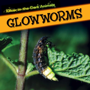 Glowworms - MPHOnline.com