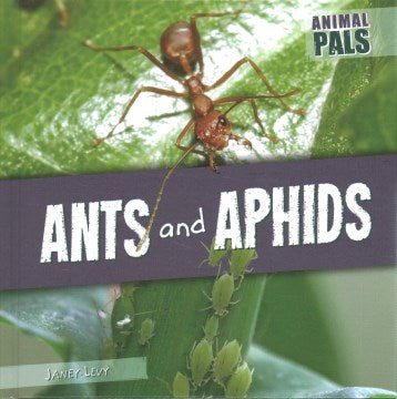 Ants and Aphids - MPHOnline.com