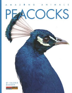 Peacocks - MPHOnline.com