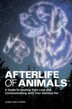 Afterlife of Animals - MPHOnline.com