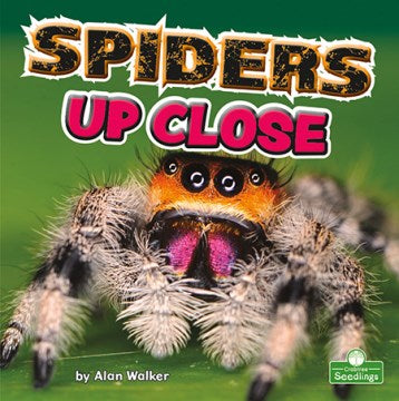 Spiders Up Close - MPHOnline.com