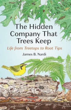 The Hidden Company That Trees Keep - MPHOnline.com