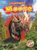 Moose - MPHOnline.com