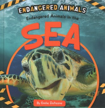 Endangered Animals in the Sea - MPHOnline.com