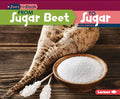 From Sugar Beet to Sugar - MPHOnline.com