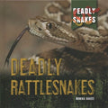 Deadly Rattlesnakes - MPHOnline.com