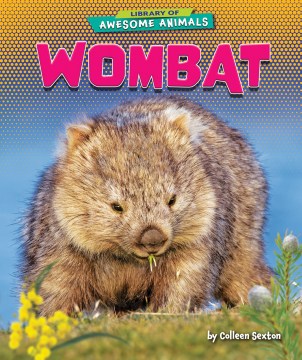 Wombat - MPHOnline.com