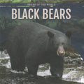 Black Bears - MPHOnline.com