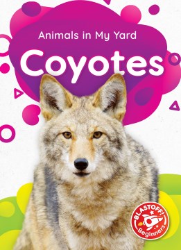 Coyotes - MPHOnline.com