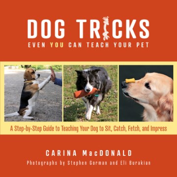 Dog Tricks Even You Can Teach Your Pet - MPHOnline.com