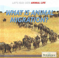 What Is Animal Migration? - MPHOnline.com