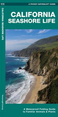 California Seashore Life - MPHOnline.com