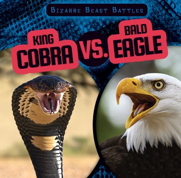 King Cobra Vs. Bald Eagle - MPHOnline.com